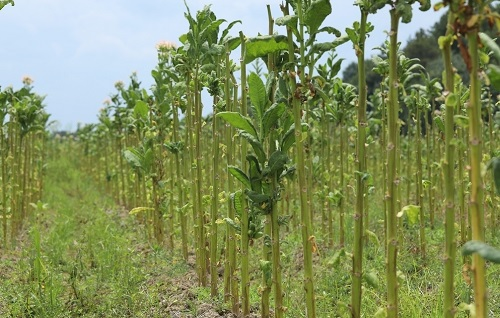 1646982506157891.png image.png