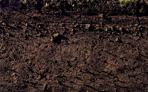 1656997996919345.png image.png