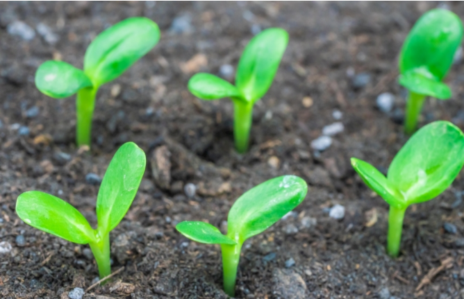 1679897658368570.png 1679897658368570.png